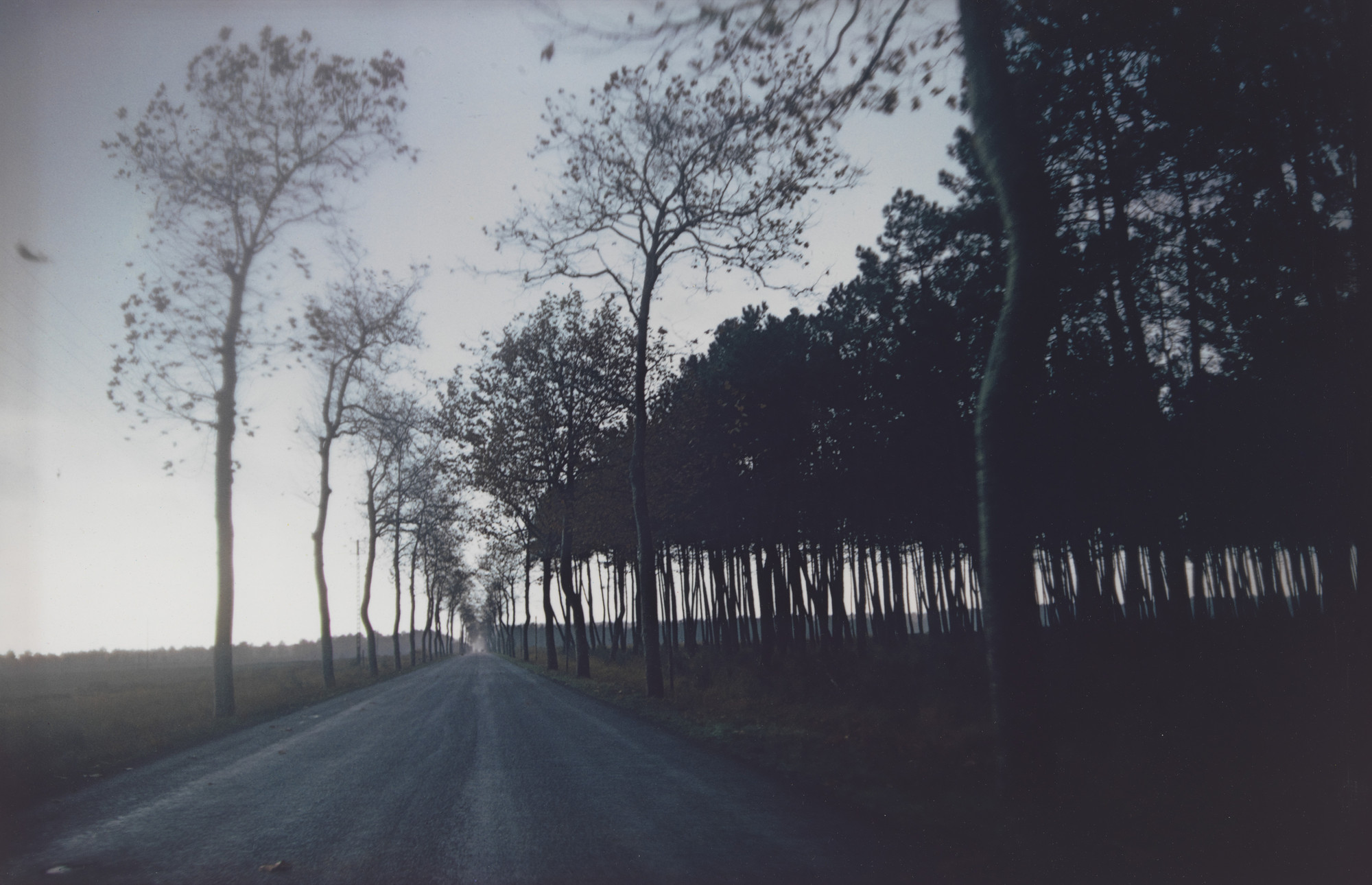 Joel Meyerowitz. Untitled from The French Portfolio. 1980