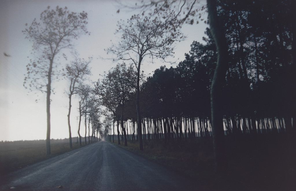 Untitled from The French Portfolio