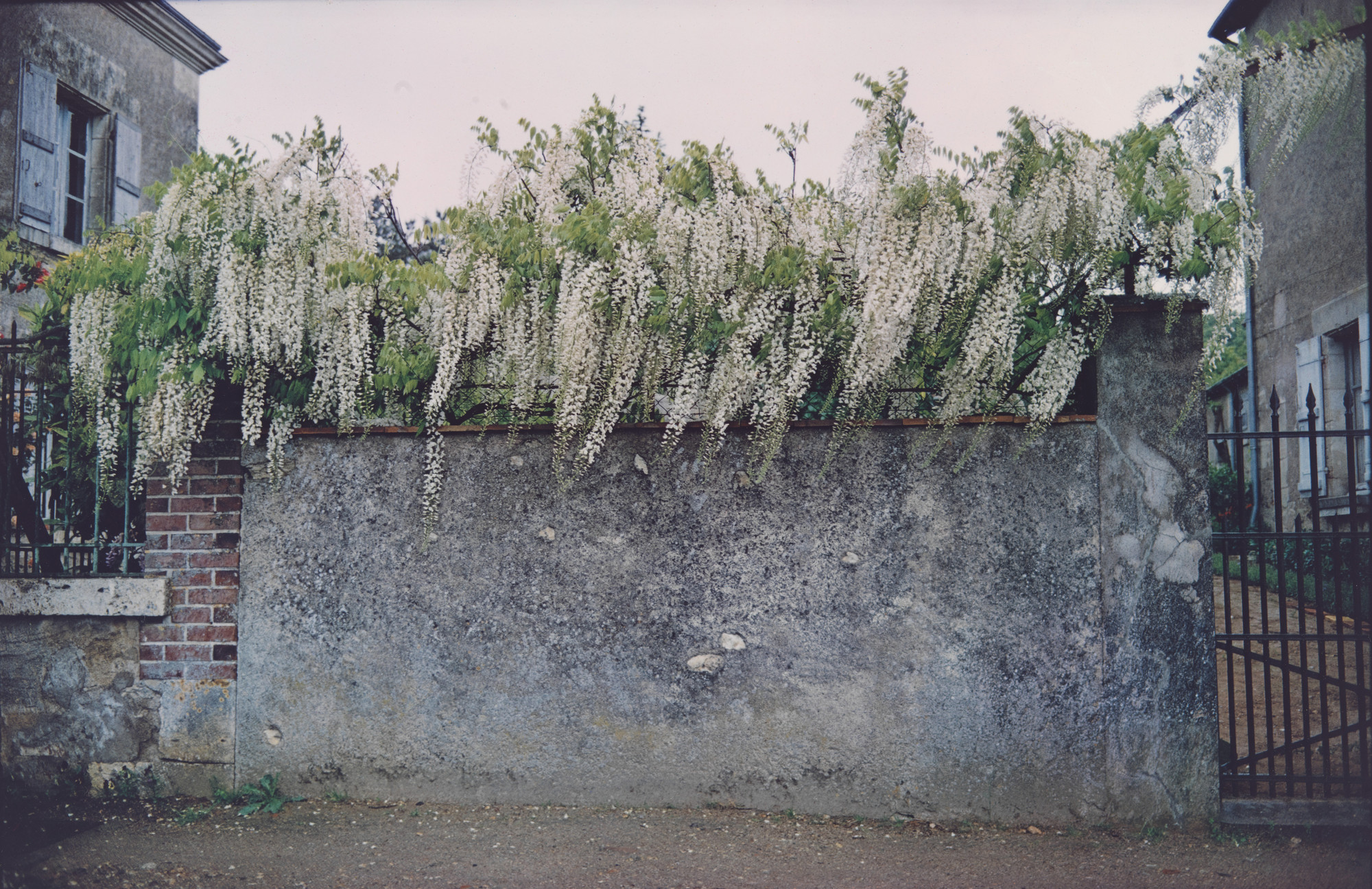 Joel Meyerowitz. Untitled from The French Portfolio