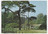 On Kawara. I Got Up.... 1970