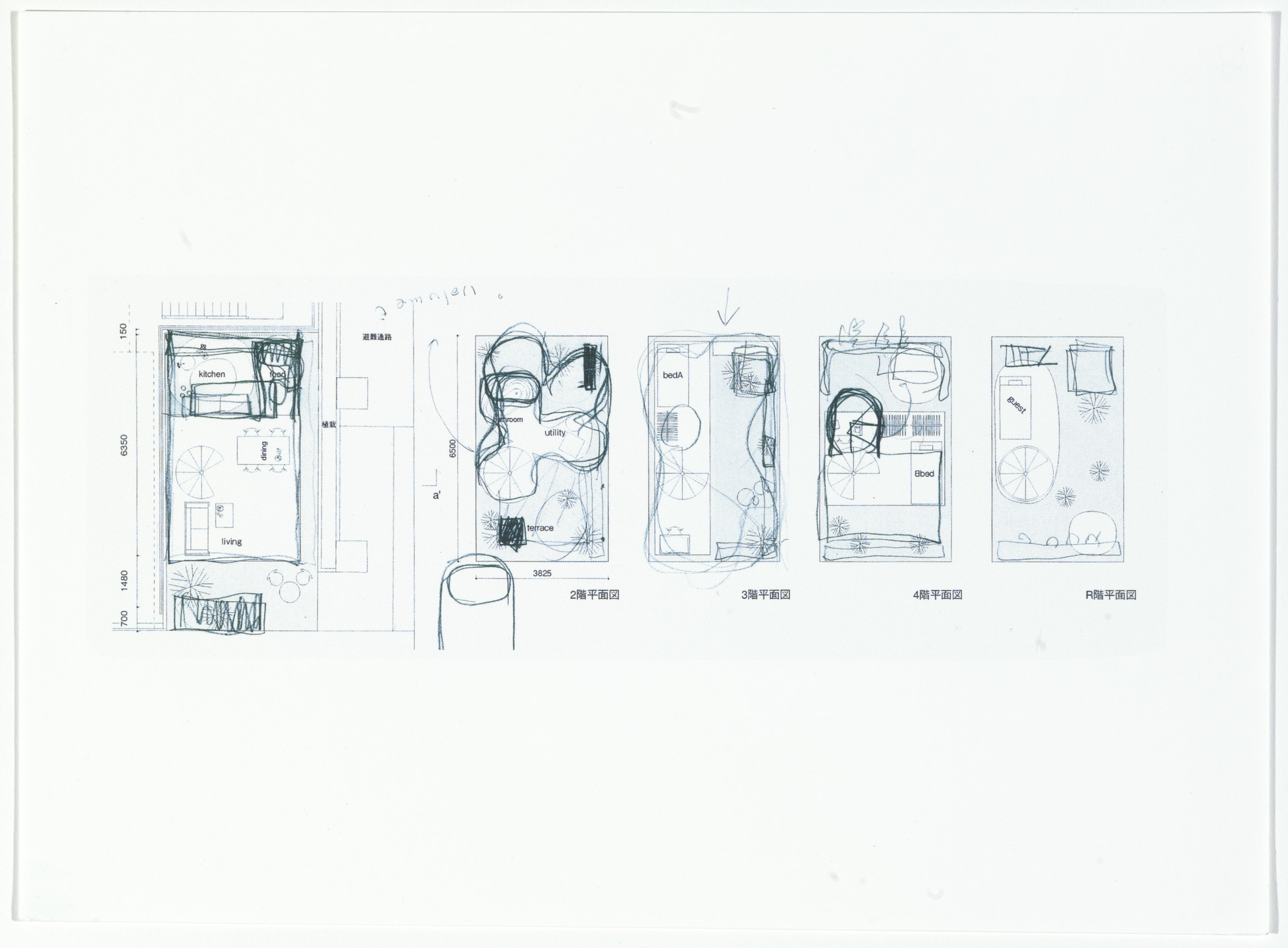 Ryue Nishizawa, Office of Ryue Nishizawa. Garden and House, Tokyo, Japan. 2011