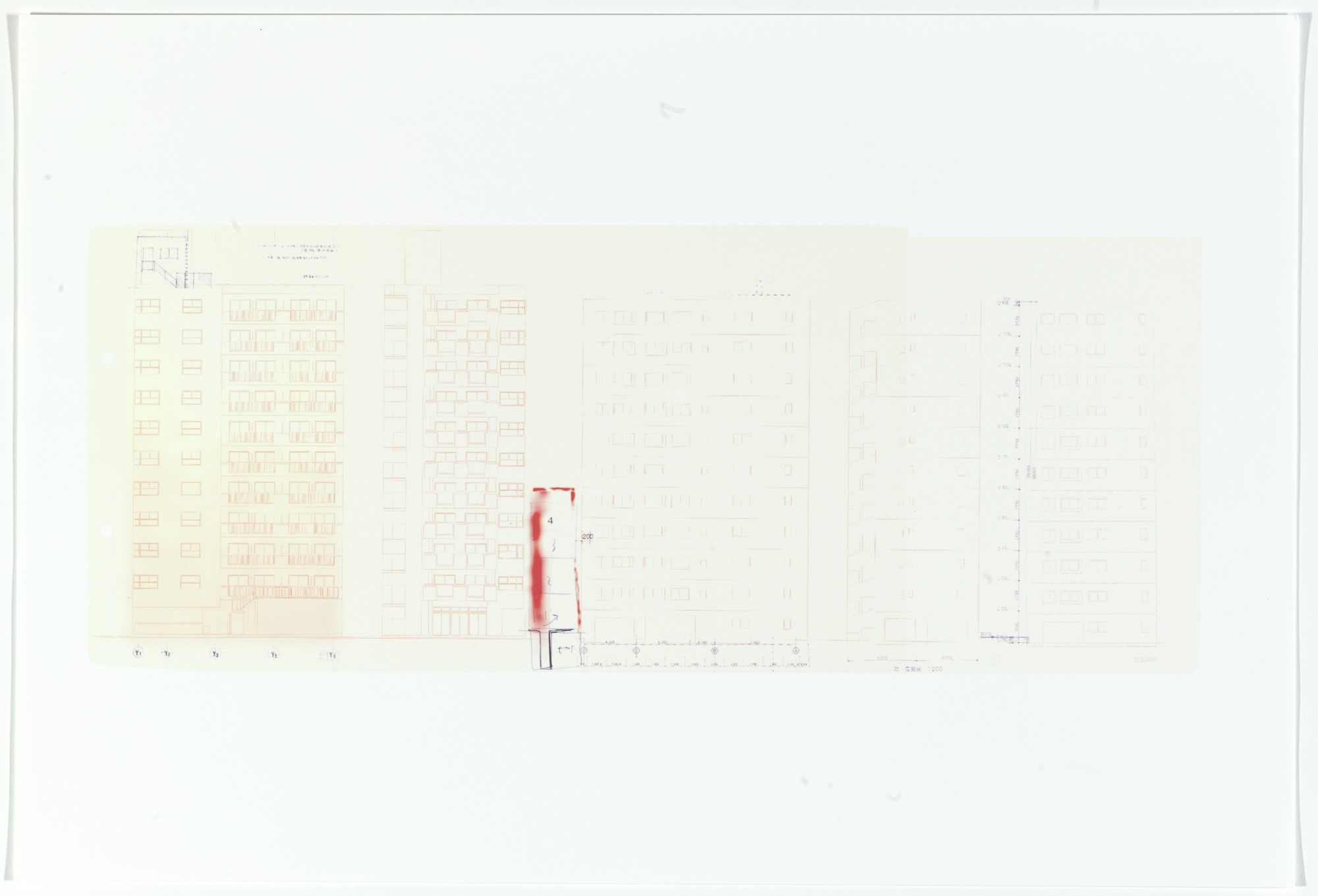Ryue Nishizawa, Office of Ryue Nishizawa. Garden and House, Tokyo, Japan. 2011