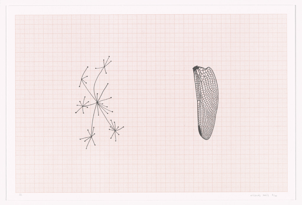 Untitled from Graph Bloc (Bloc milimetrado)