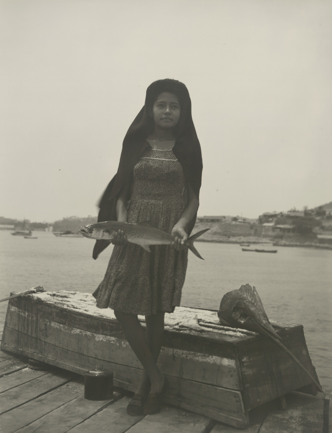 Manuel Álvarez Bravo. Un pez que llaman sierra (A Fish Called Sierra). 1944