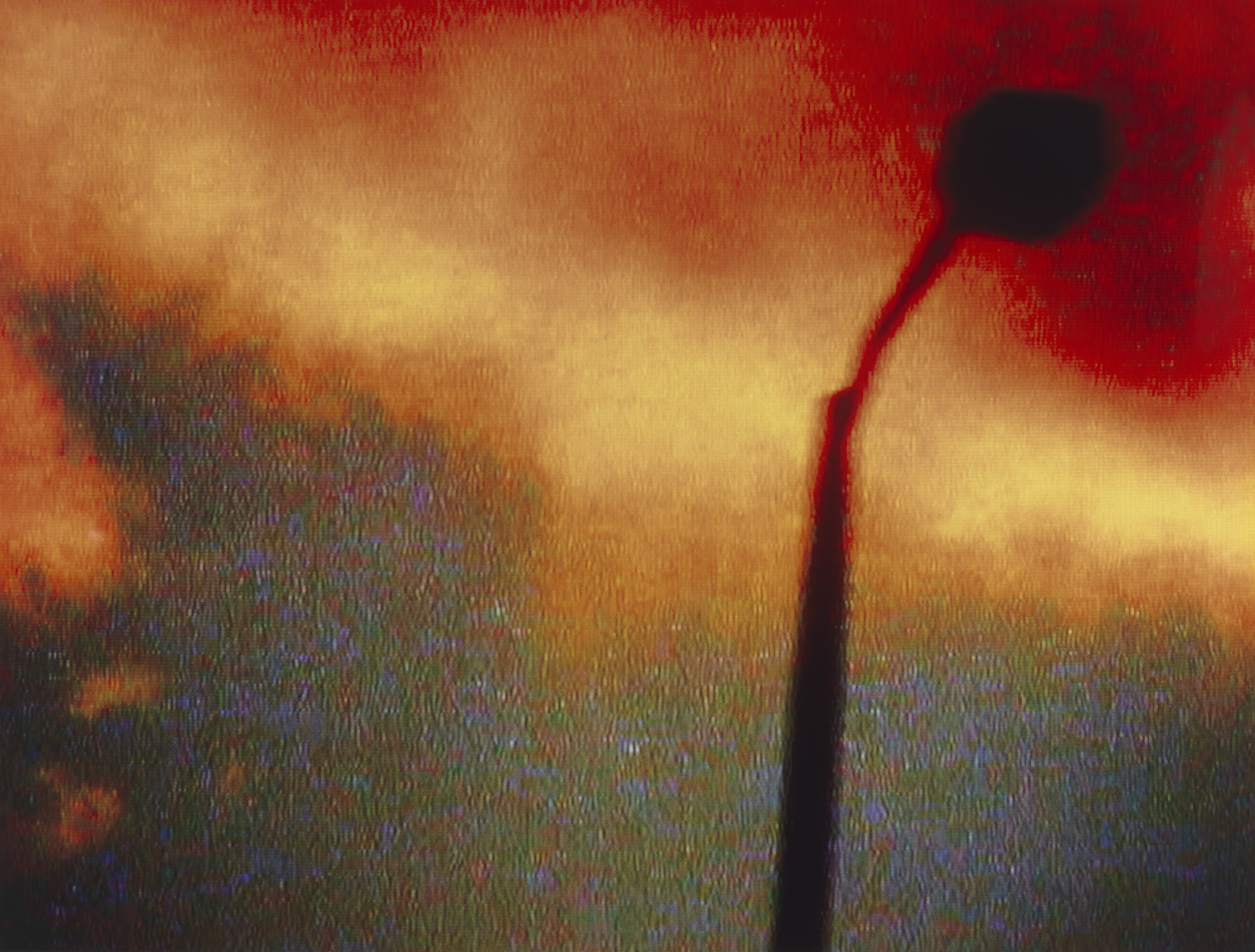 Pipilotti Rist. Still Stills from Remake of Weekend