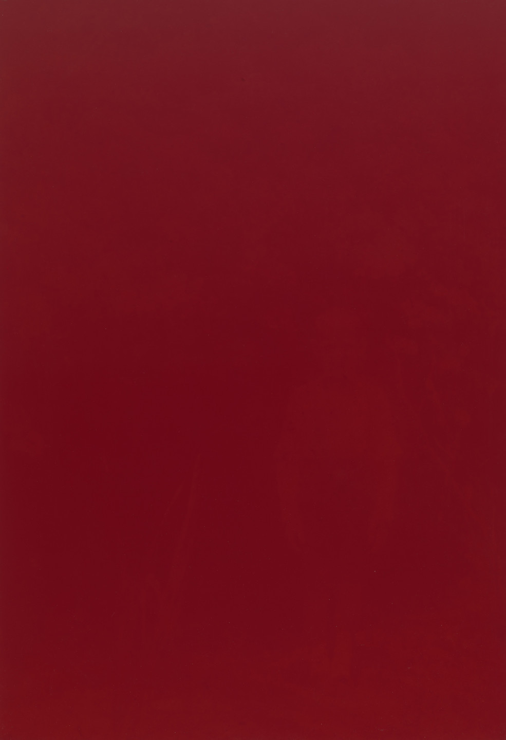 Rosângela Rennó. Untitled (red boy). 1996
