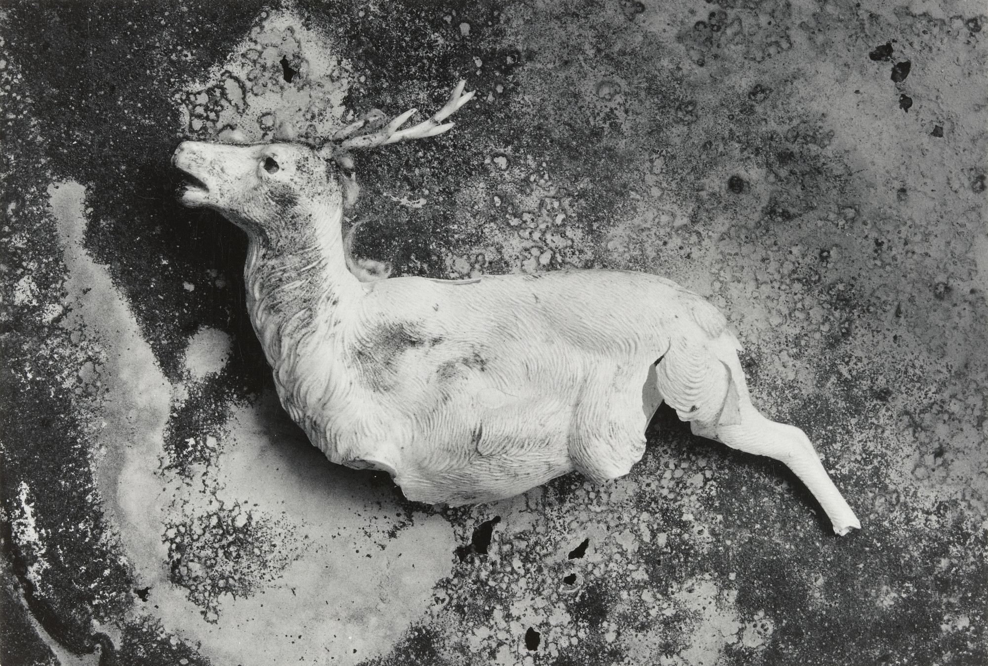Frederick Sommer. Beato Saltador Alegre. 1950