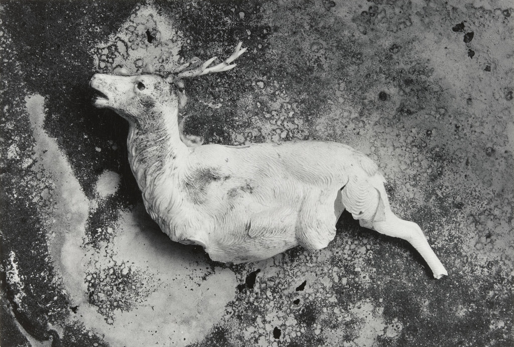 Beato Saltador Alegre, Frederick Sommer, 1950