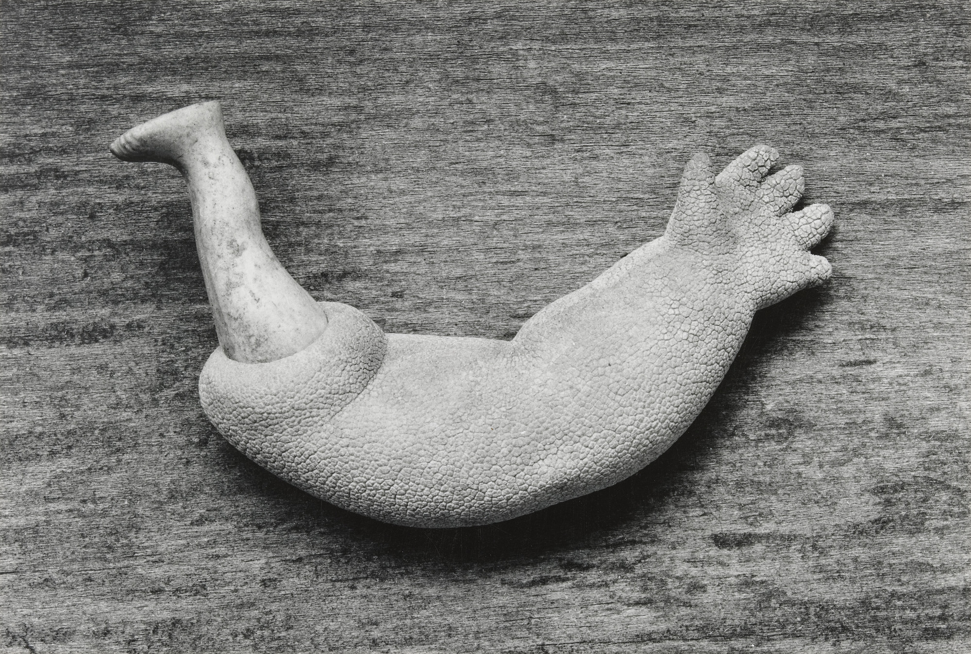 Frederick Sommer. Ondine