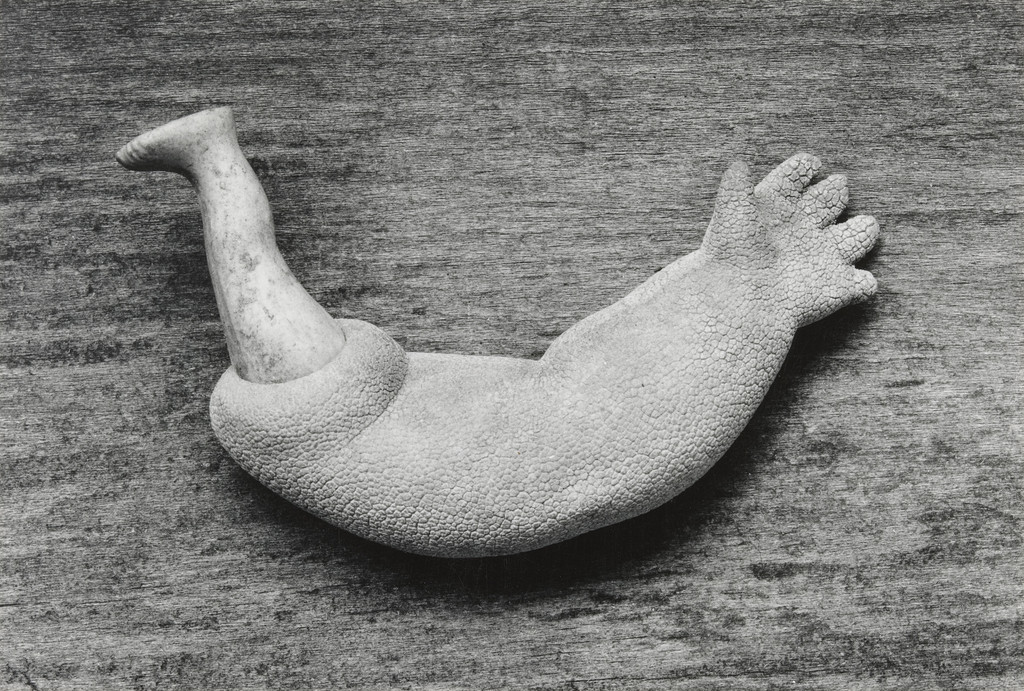 Ondine, Frederick Sommer, 1950