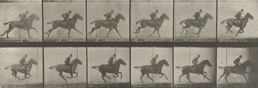 Eadweard J. Muybridge. "Daisy" Galloping, Saddled: Plate 624 from Animal Locomotion (1887). 1884-86