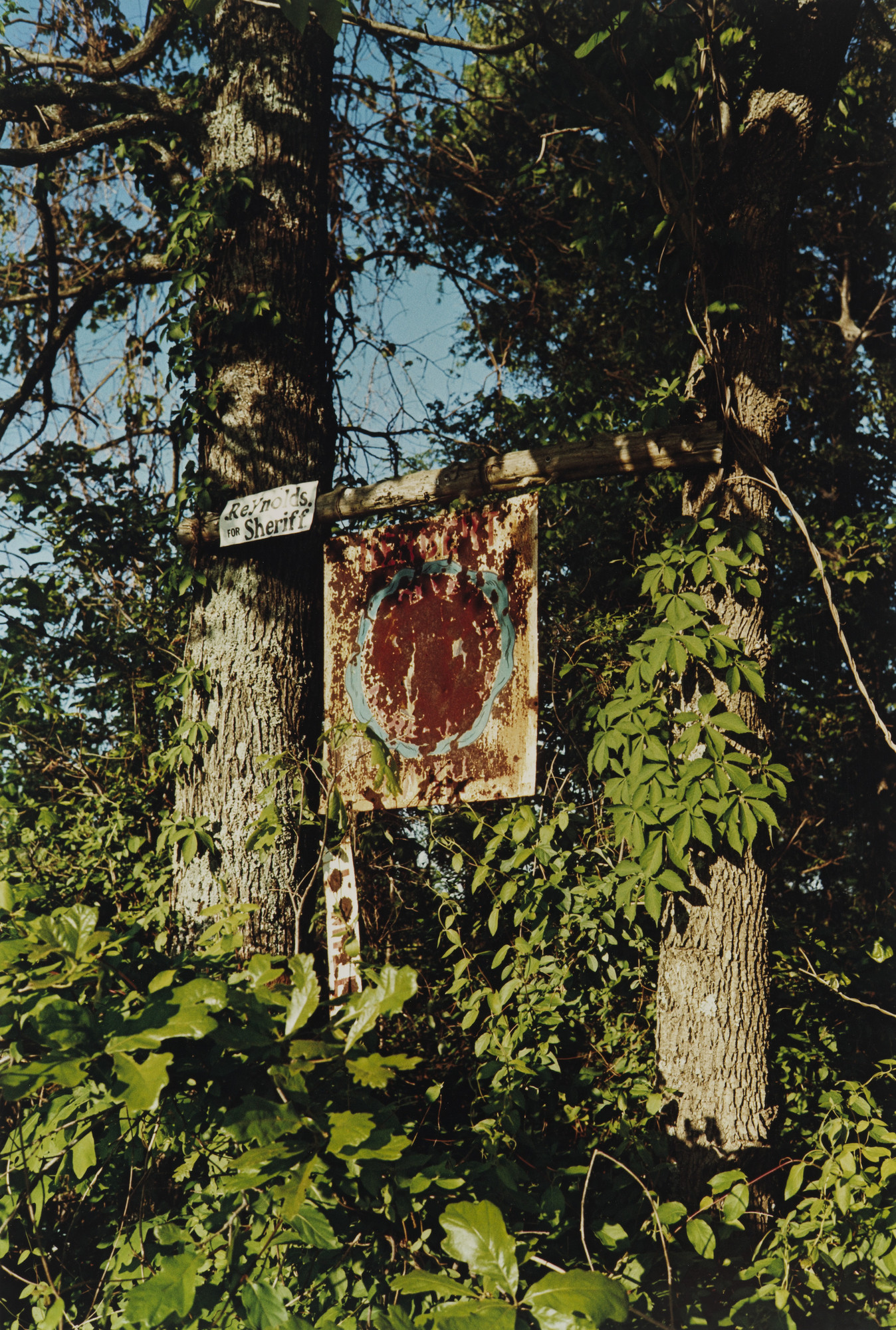 William Eggleston. Near Senatobia, Mississippi