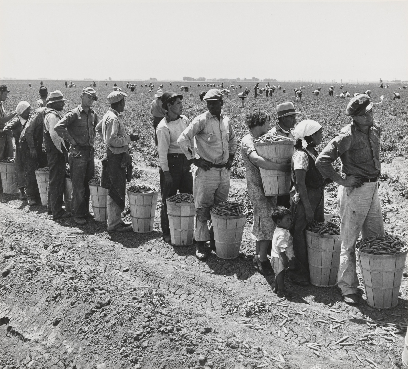 Dorothea Lange. Near Westley, California. April 1938