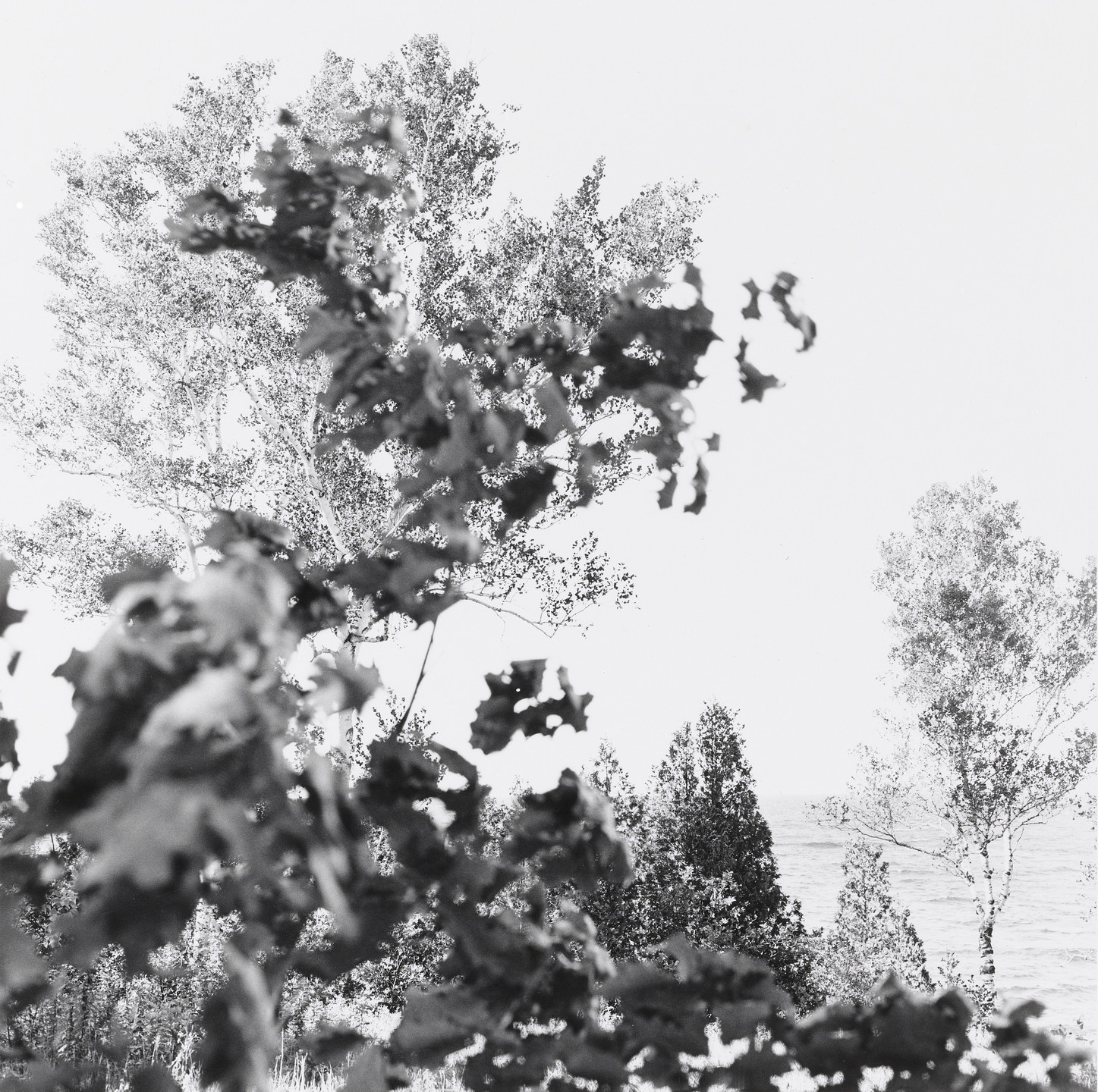 Ray K. Metzker. Earthly Delights. 1988