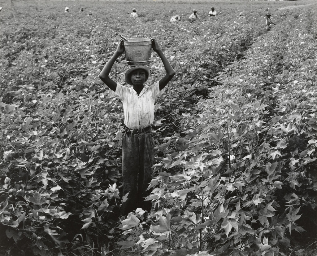Water Boy, Mississippi Delta