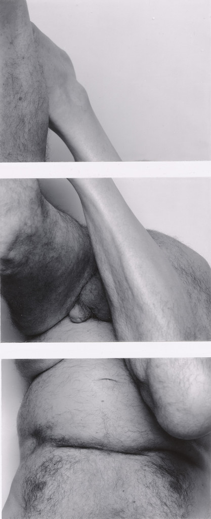 Untitled Study for Self-Portrait (Upside Down no. 3)