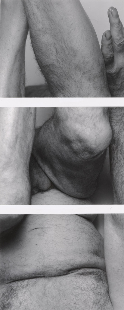 Untitled Study for Self-Portrait (Upside Down no. 8)