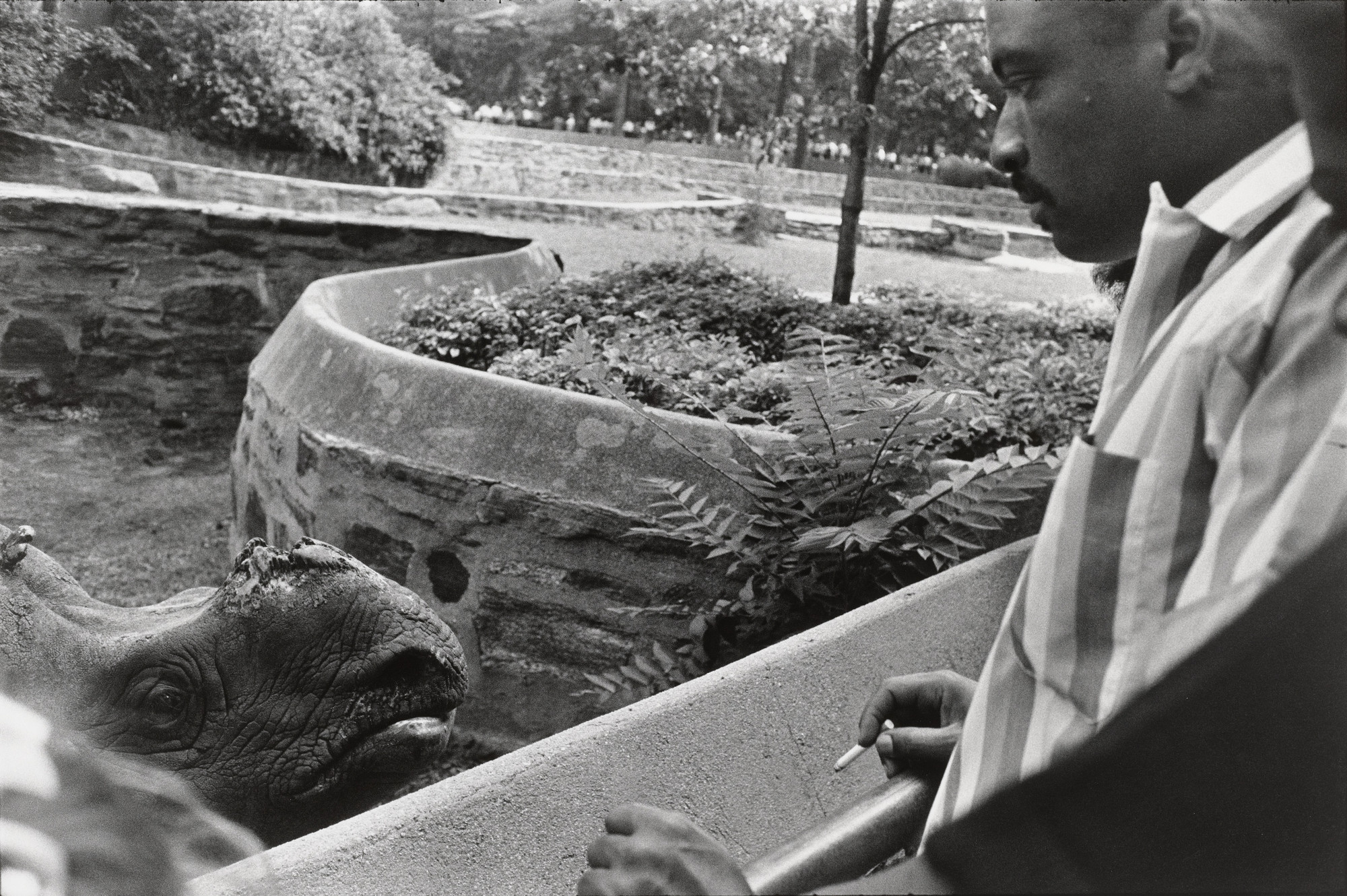Garry Winogrand. Bronx Zoo, New York. 1963