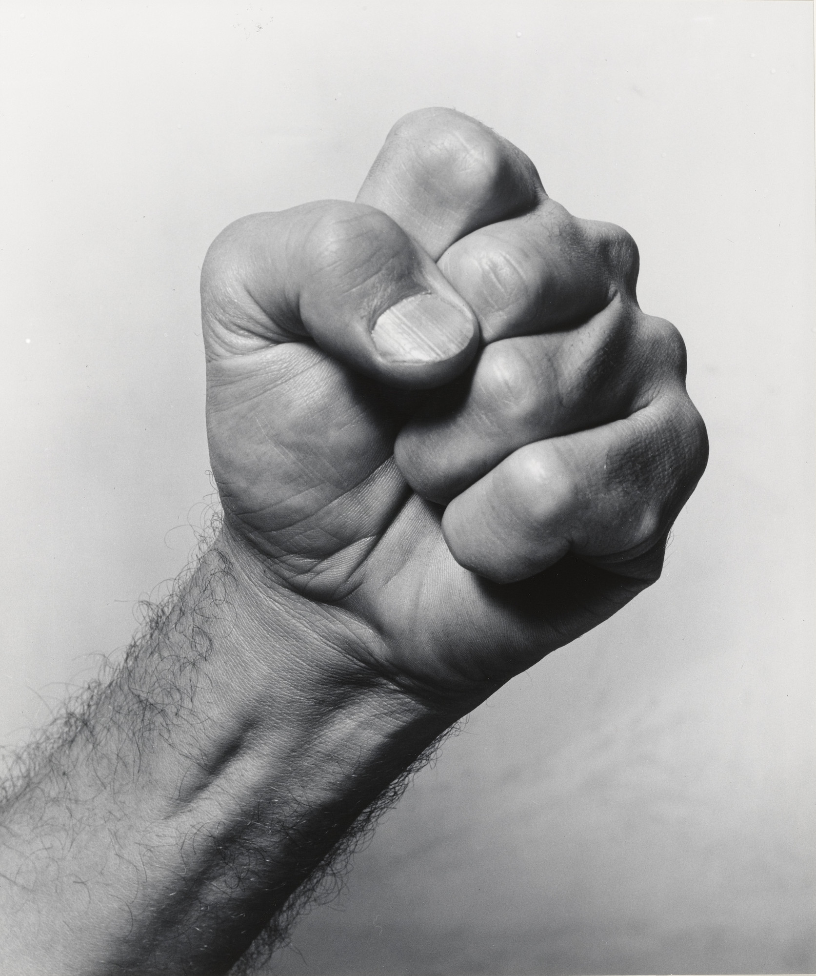Barbara Morgan. Willard's Fist