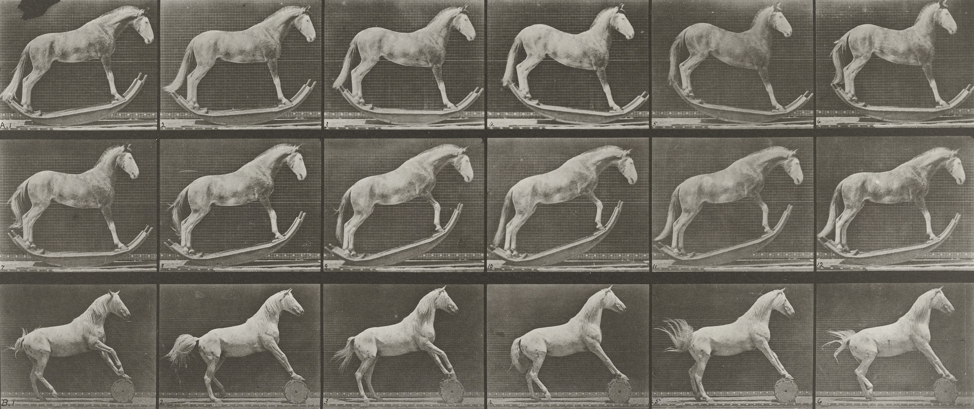 Eadweard J. Muybridge. &#34;Hornet&#34; Rocking; &#34;Eagle&#34; Rolling a Barrel: Plate 649 from Animal Locomotion (1887). 1884-86