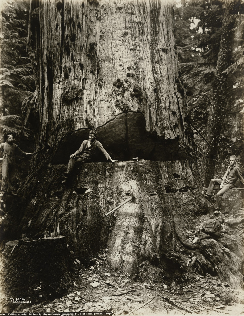 Loggers