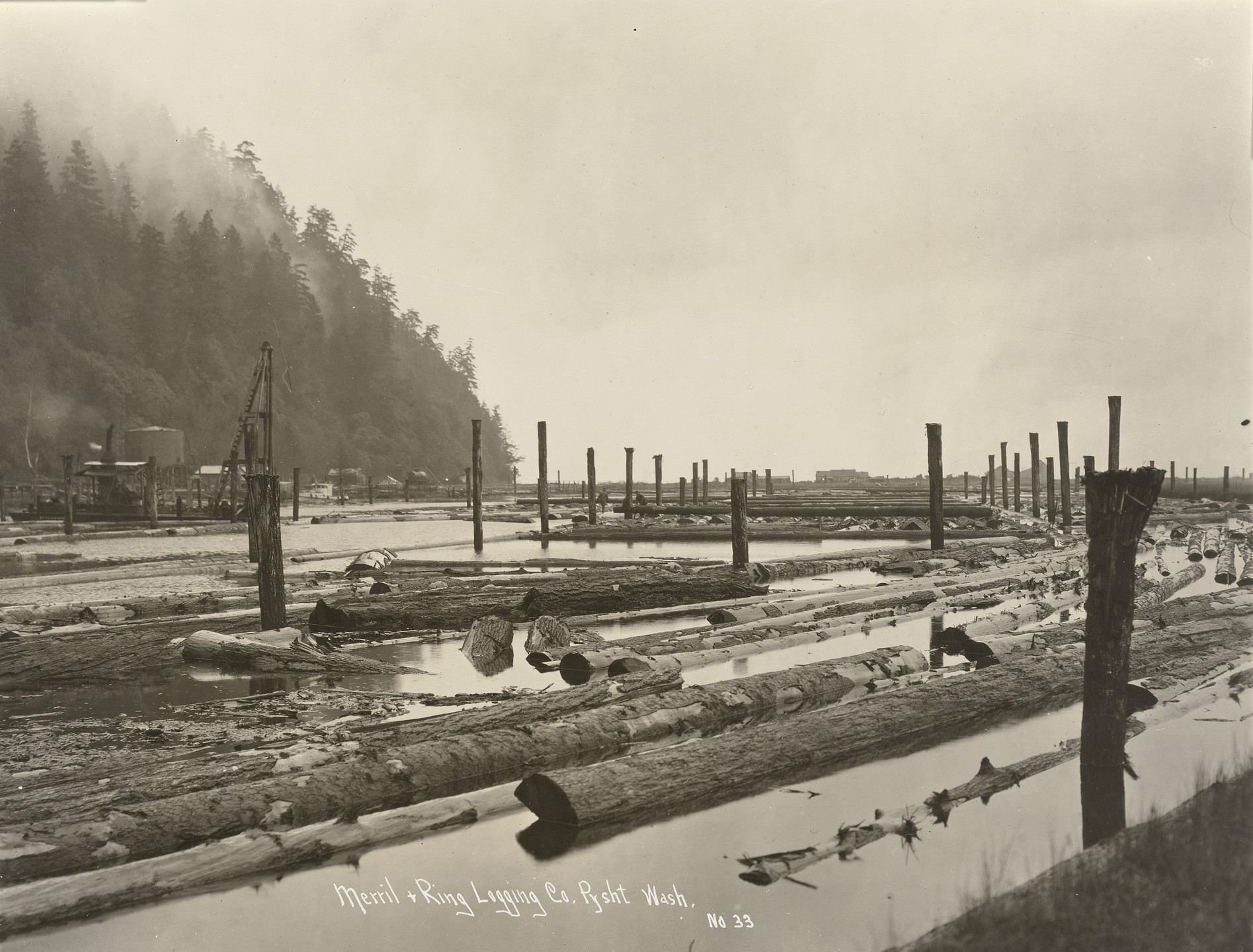 Darius Kinsey. Merril and Ring Logging Company, Pysht, Washington. c. 1910