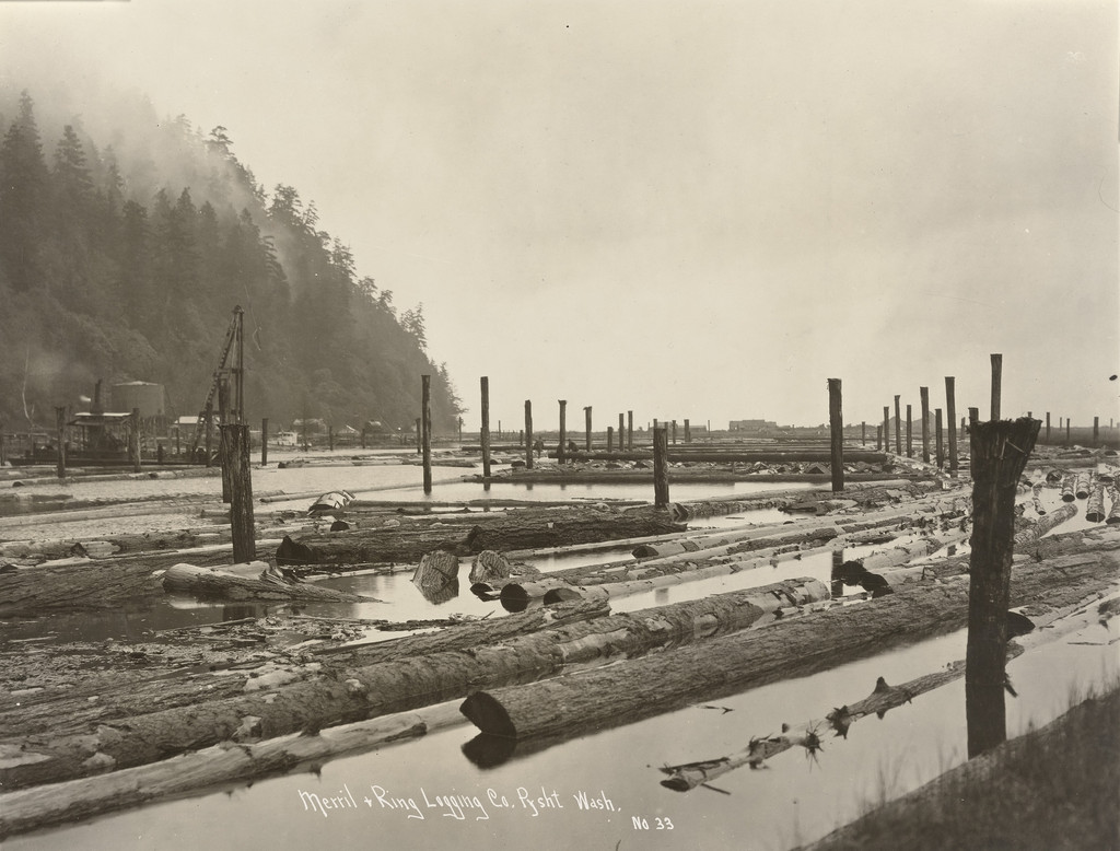 Merril and Ring Logging Company, Pysht, Washington