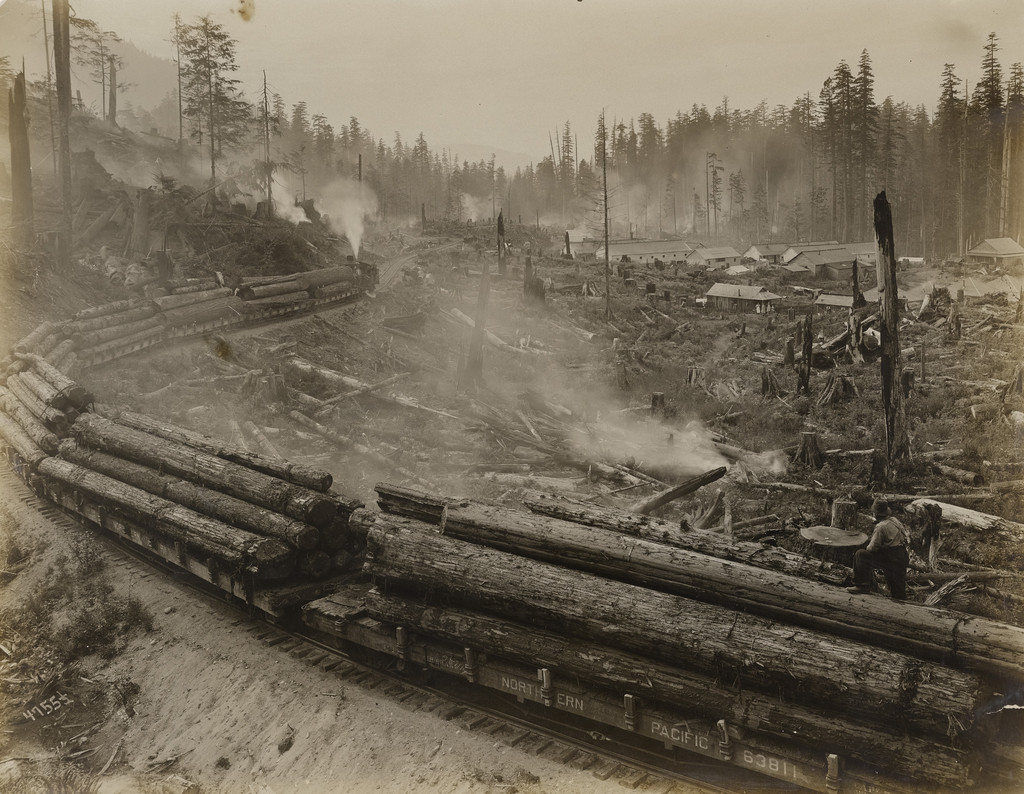 Train of logs on a horseshoe curve along the ragged mountain side - large logging camp at edge of woods in background