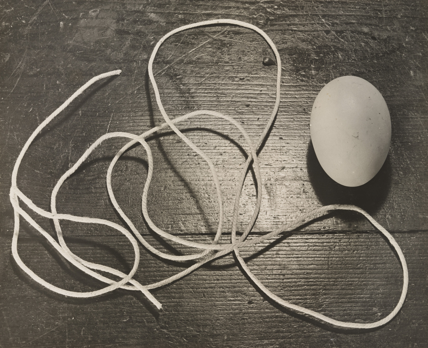 Horacio Coppola. Still Life with Egg and Twine. 1932