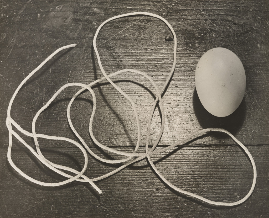 Still Life with Egg and Twine