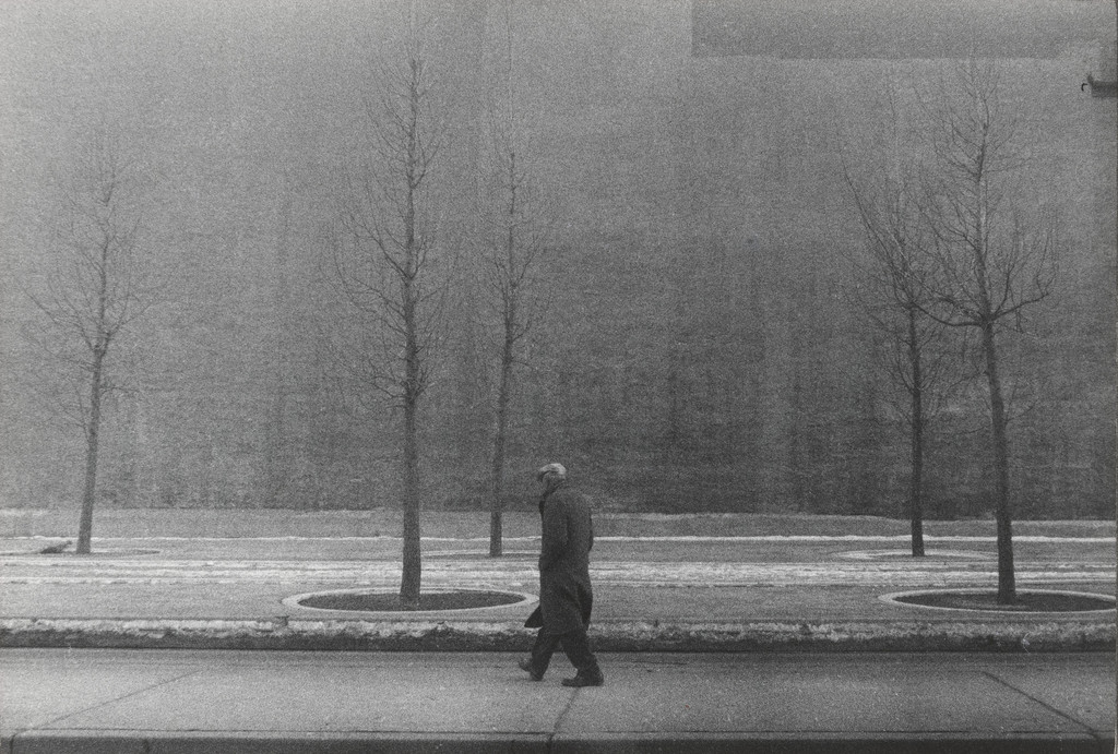 Vine Street, Philadelphia, Old Man and Trees