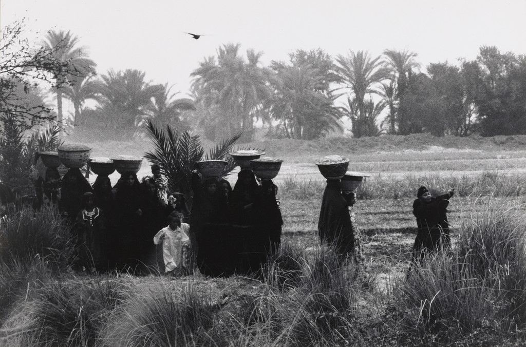 Procession Bearing Food to the Dead, Upper Egypt