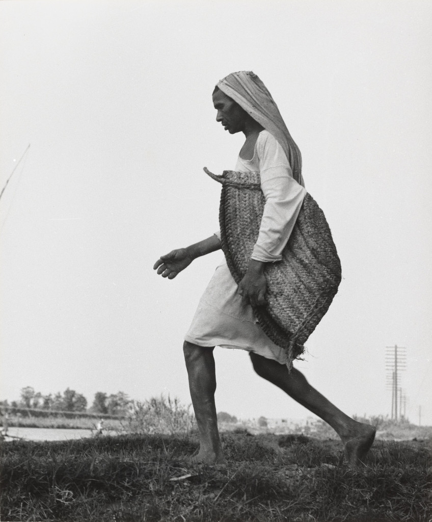 Nile Delta, Egypt