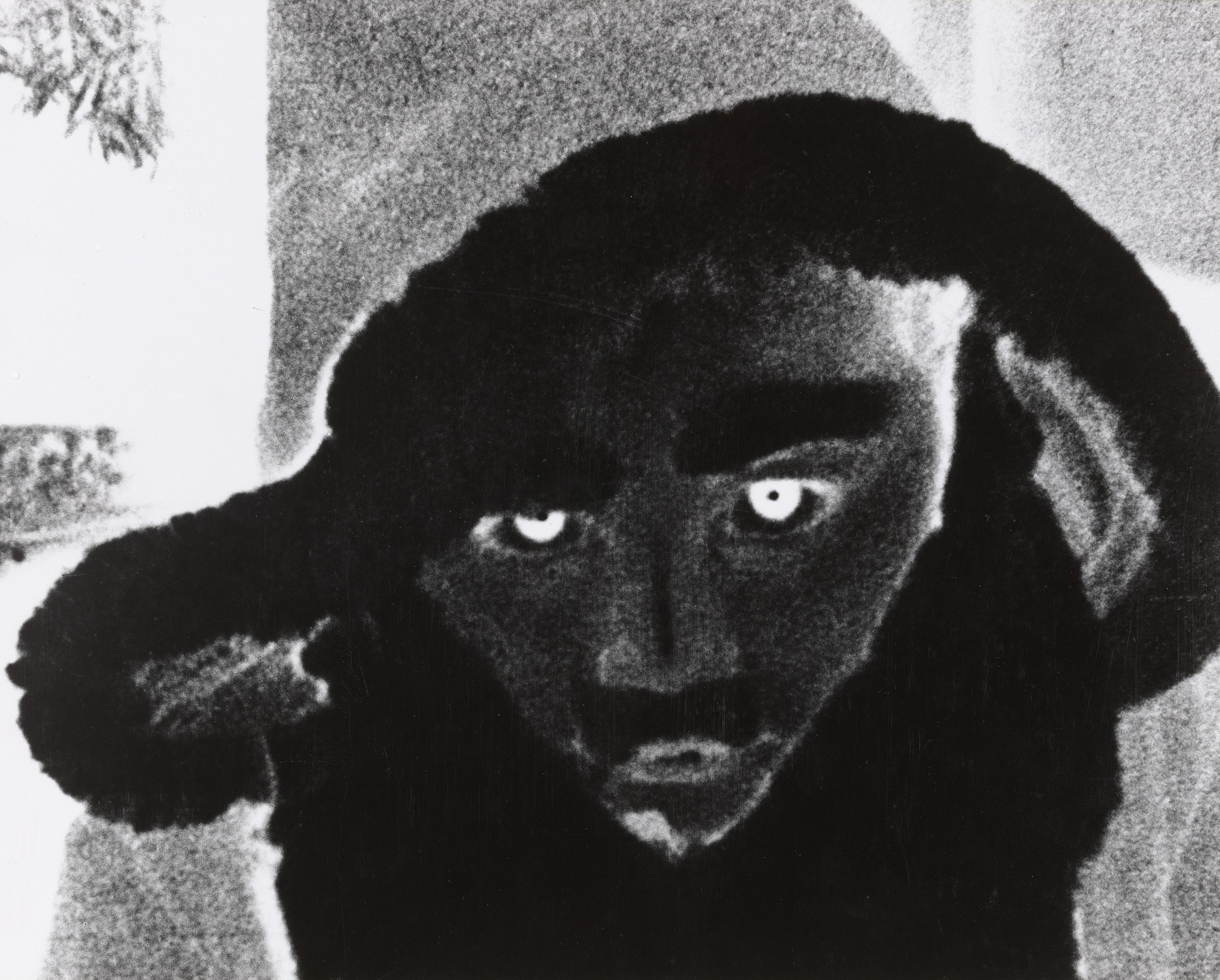 Goro Ike. Gaze. c. 1950