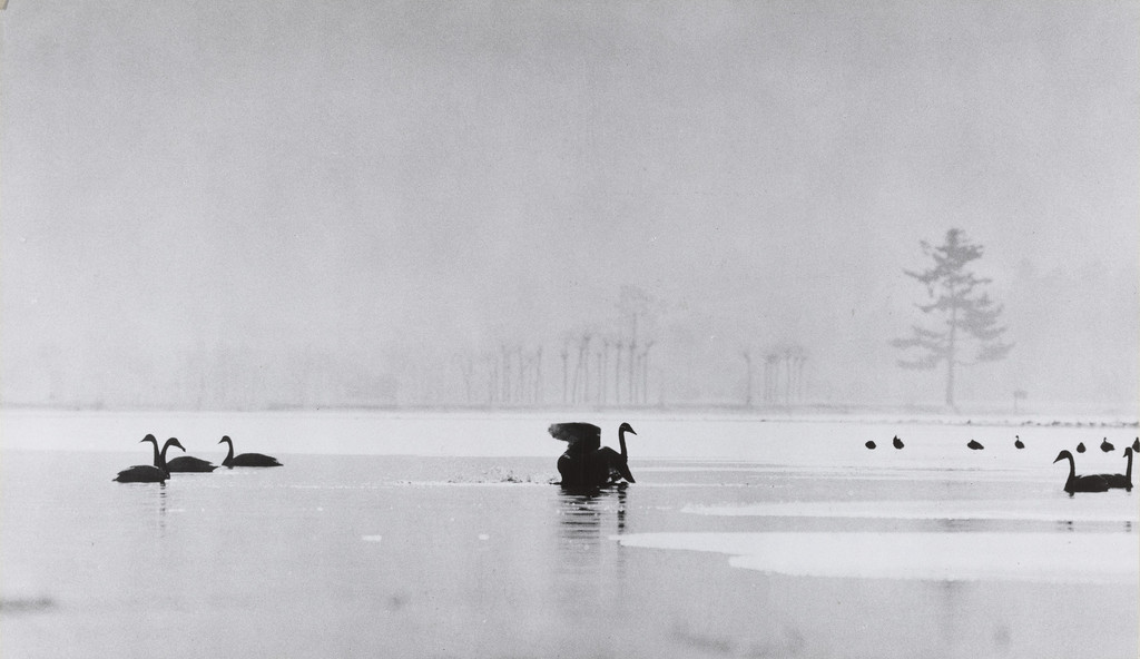 The Snow Lake
