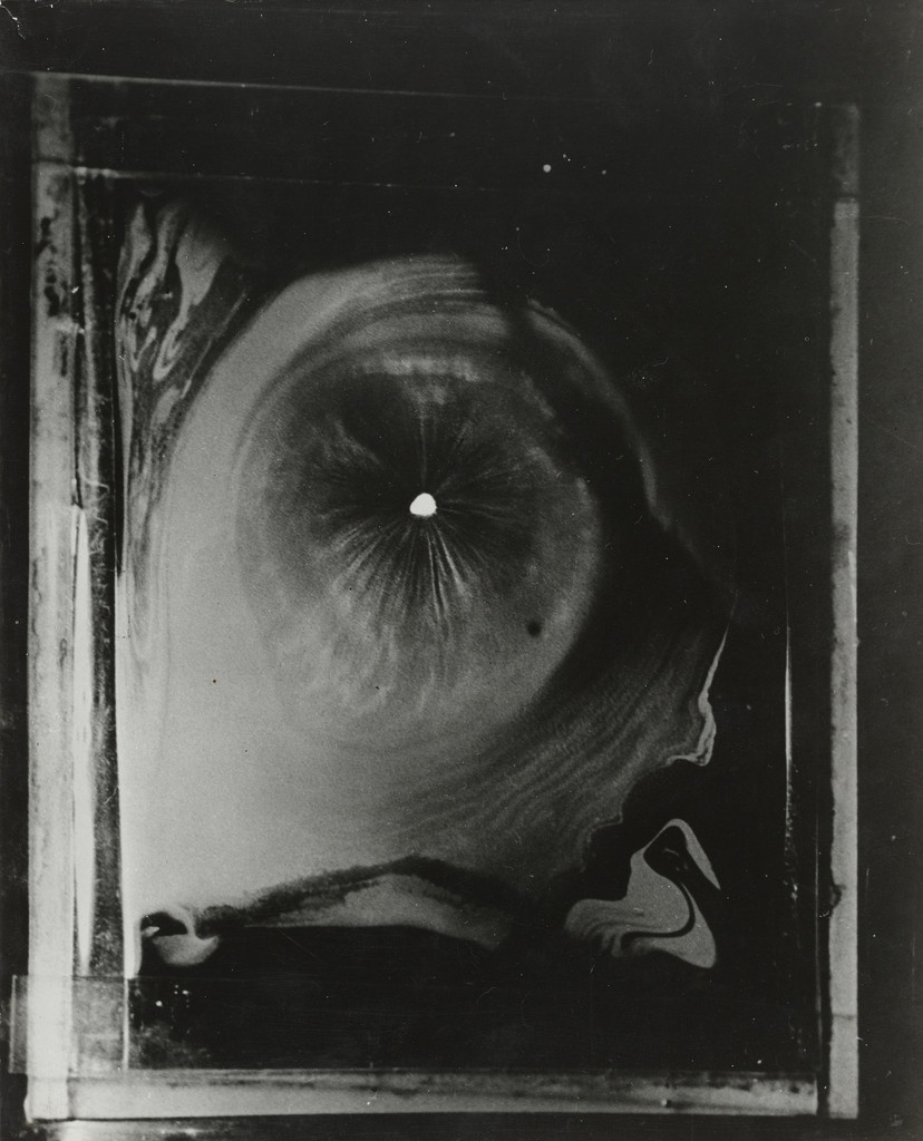 Fragrance of Camphor