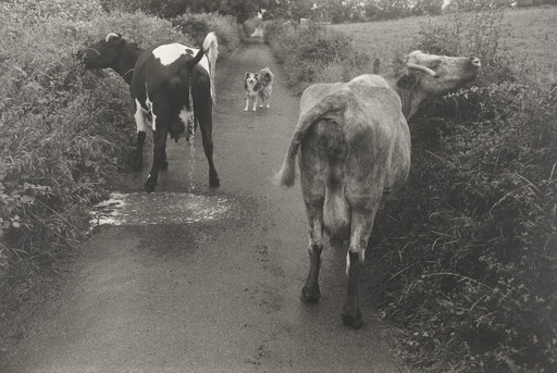 Mooncoin, Eire