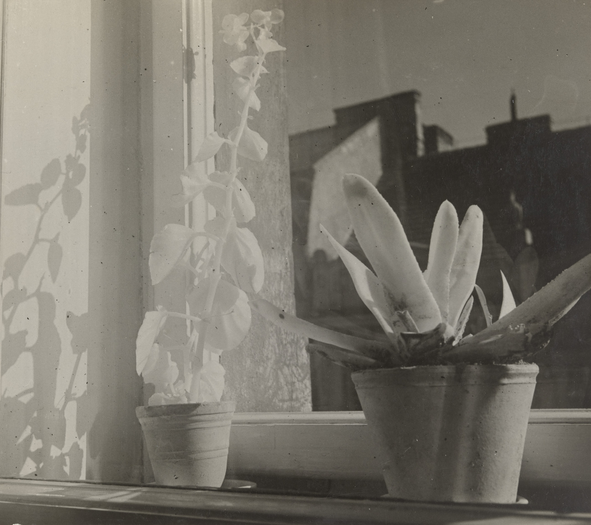 Raoul Hausmann. Untitled