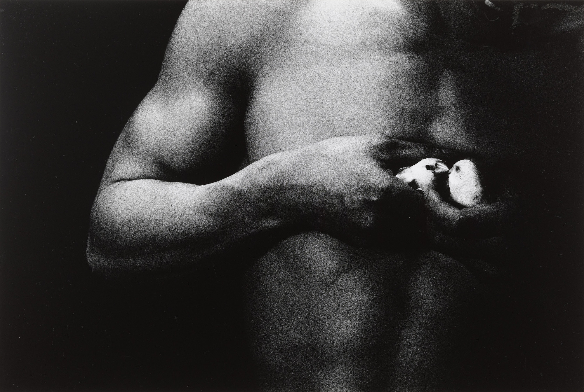 Eikoh Hosoe. Man and Woman #33. 1960