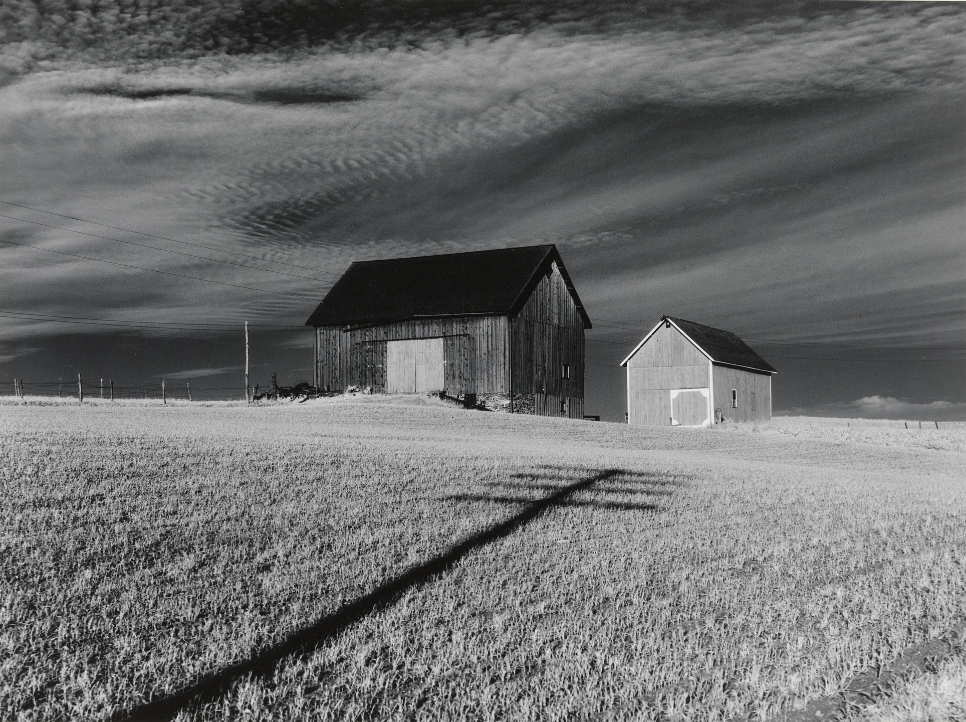 Minor White. Two Barns and Shadow. 1955