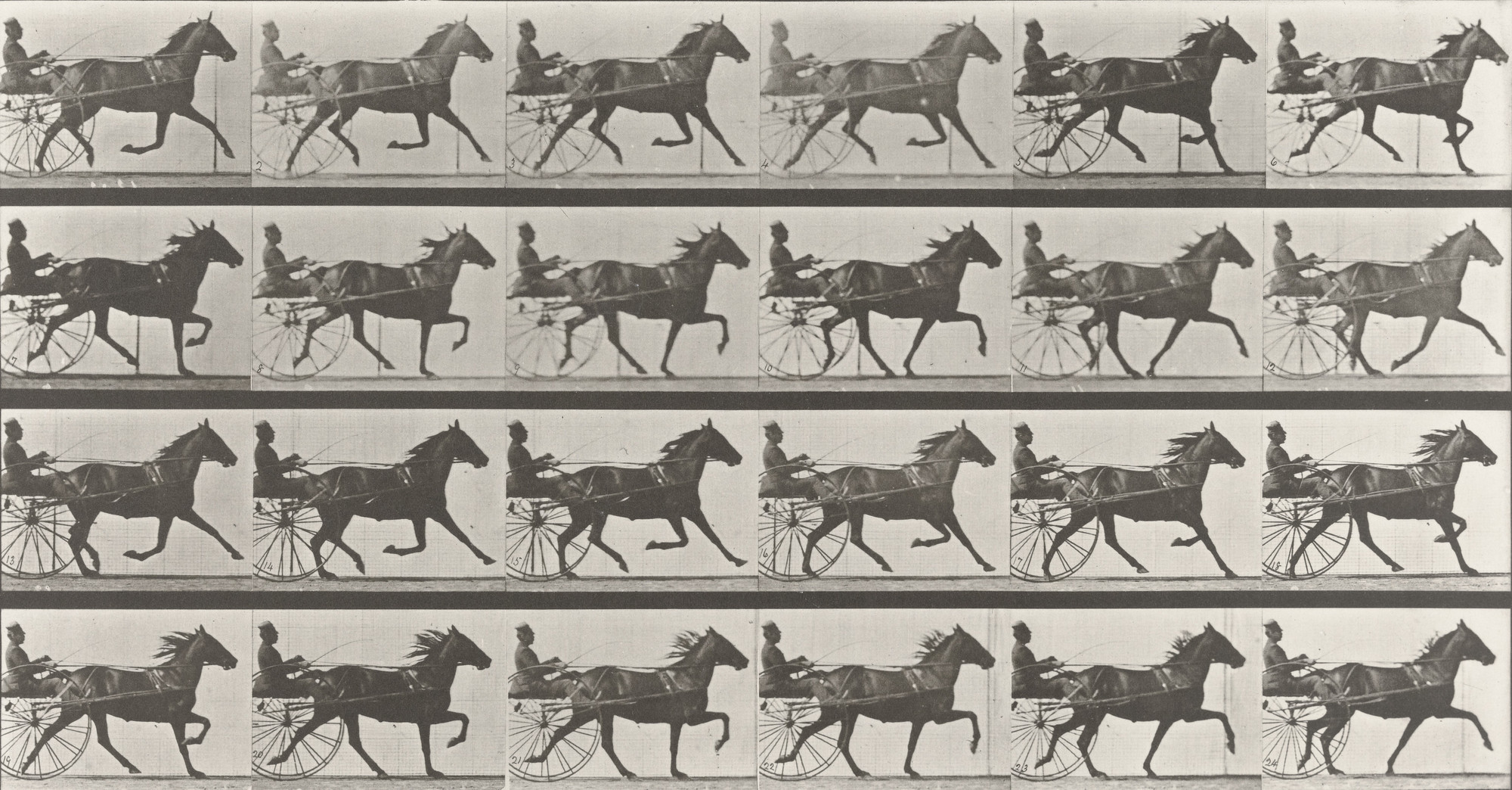 Eadweard J. Muybridge. "Lizzie M." Trotting, Harnessed to Sulky: Plate 609 from Animal Locomotion (1887)