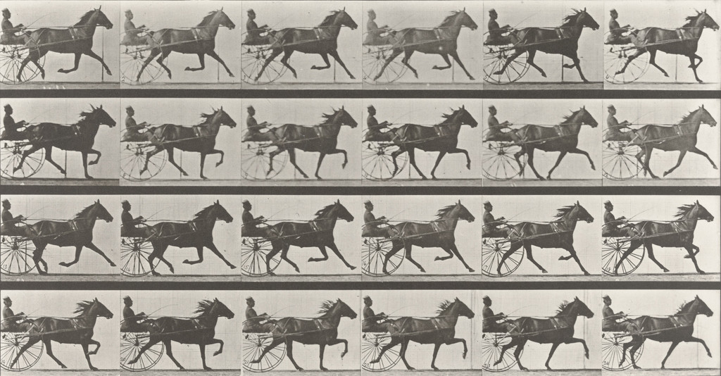 "Lizzie M." Trotting, Harnessed to Sulky: Plate 609 from Animal Locomotion (1887)