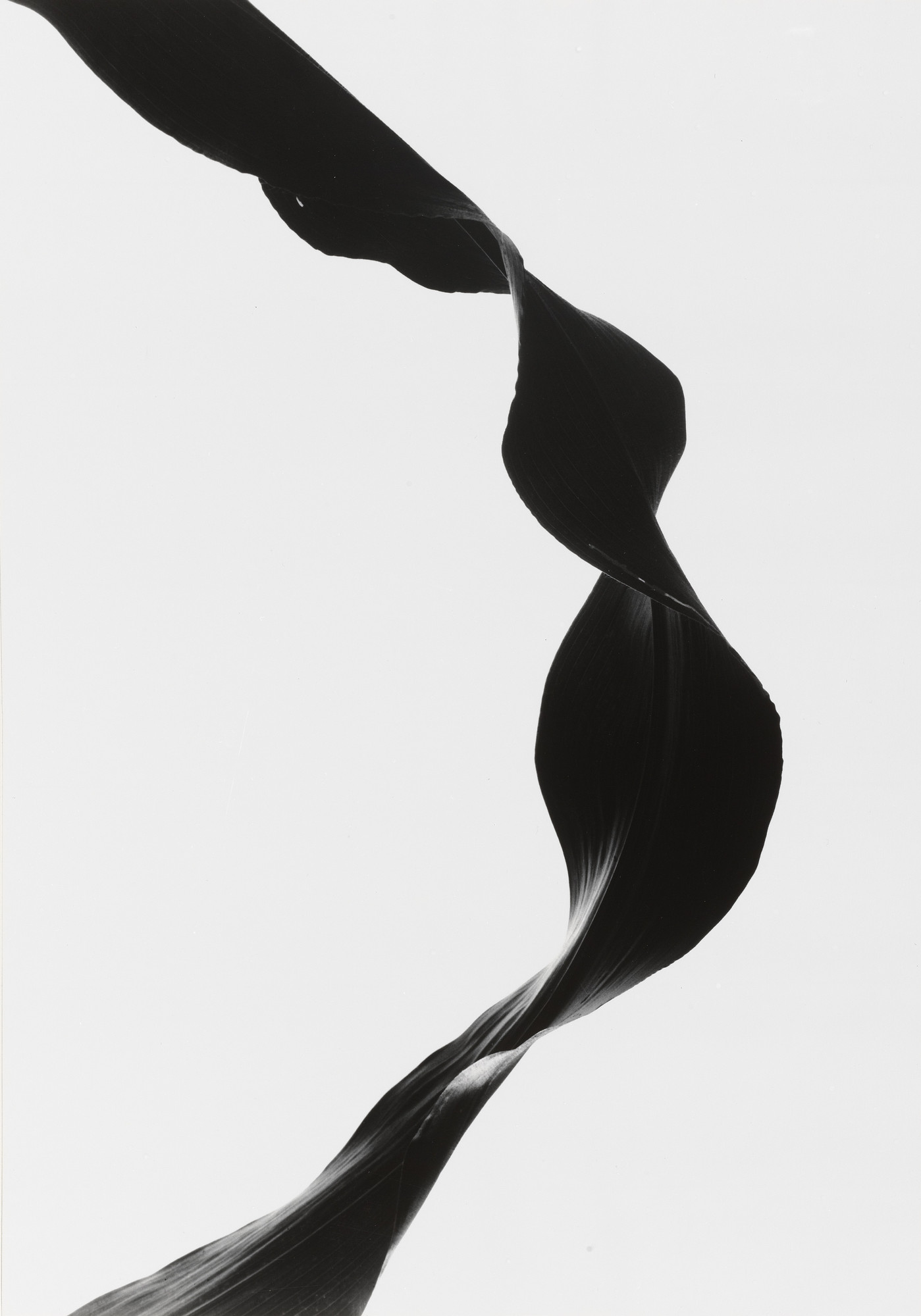 Barbara Morgan | MoMA