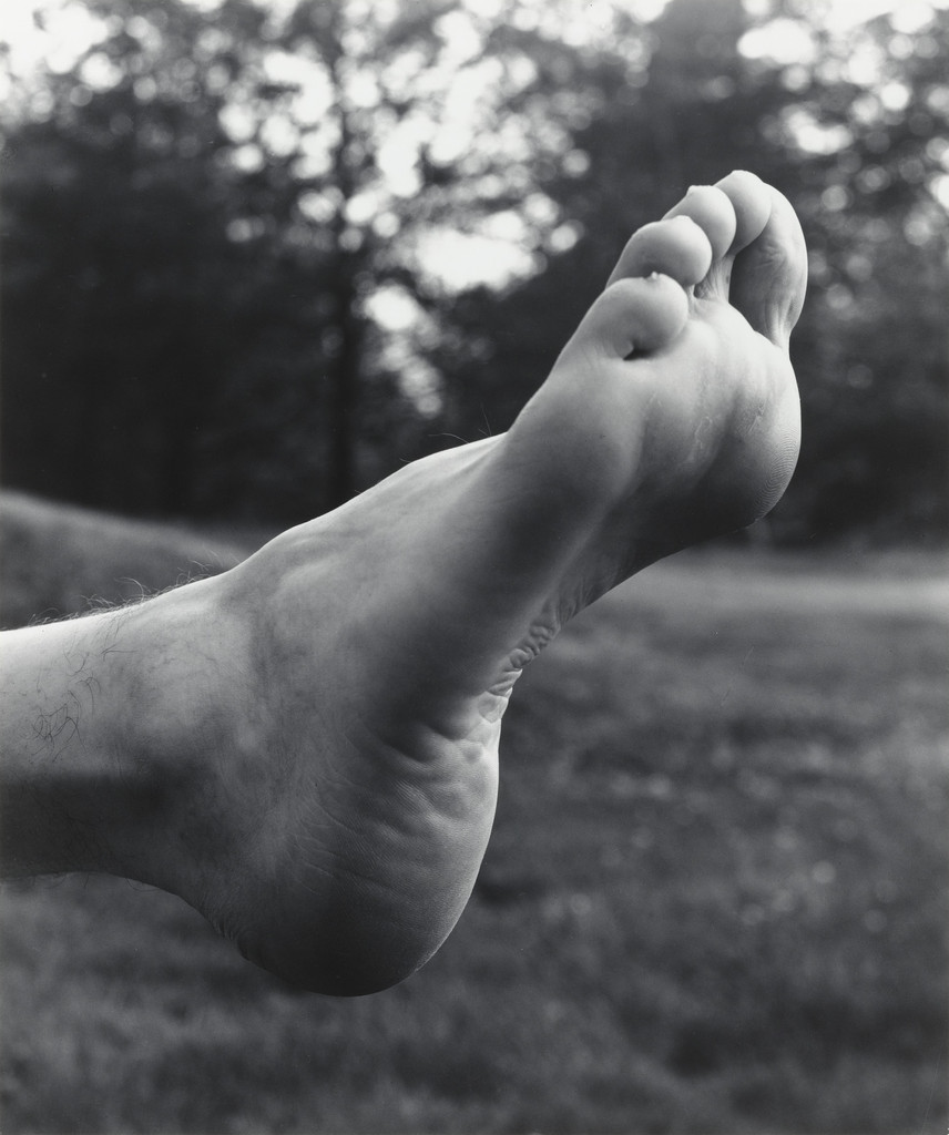 Willard's Foot