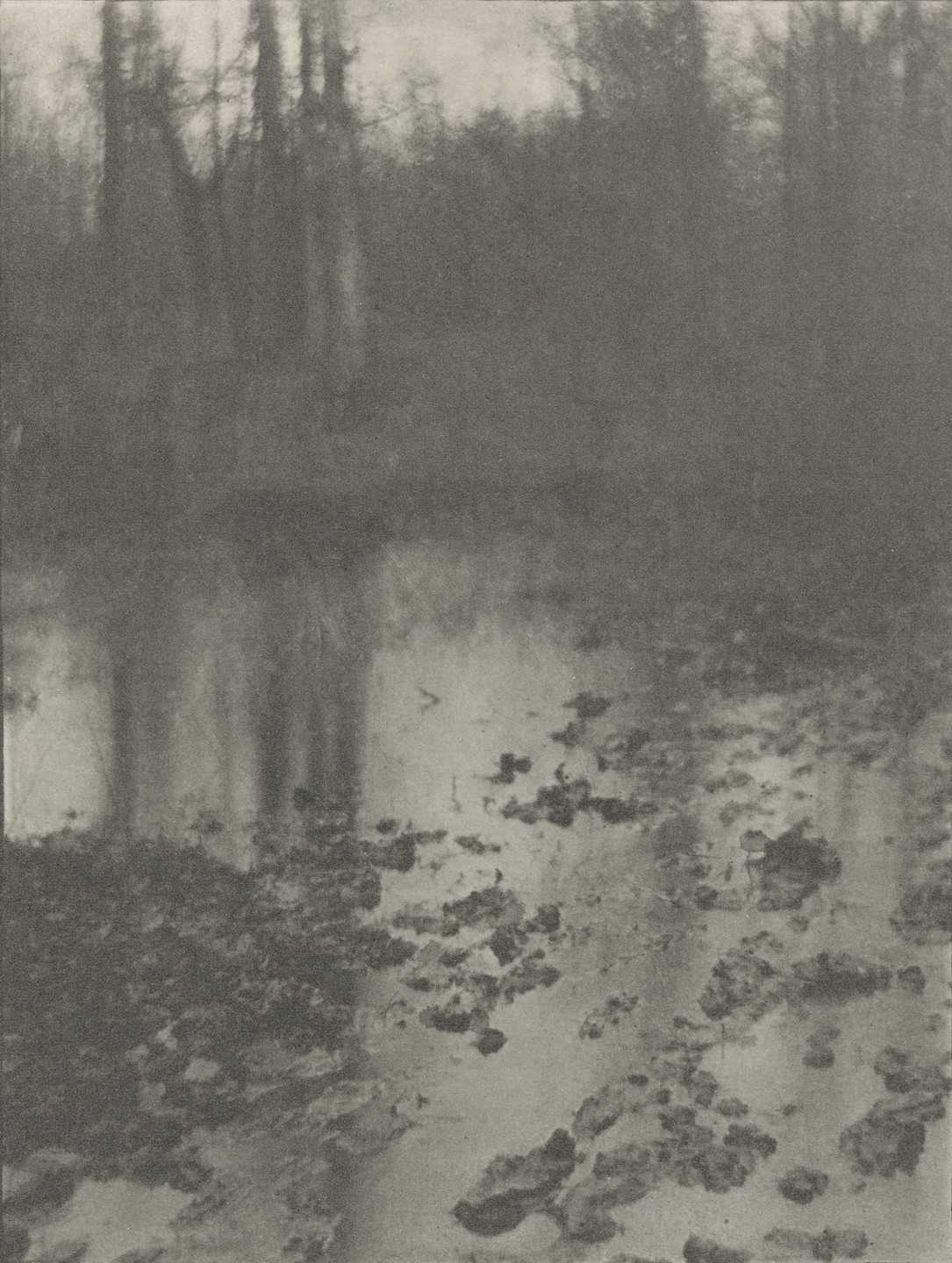 Edward Steichen. Landscape- Evening. 1901