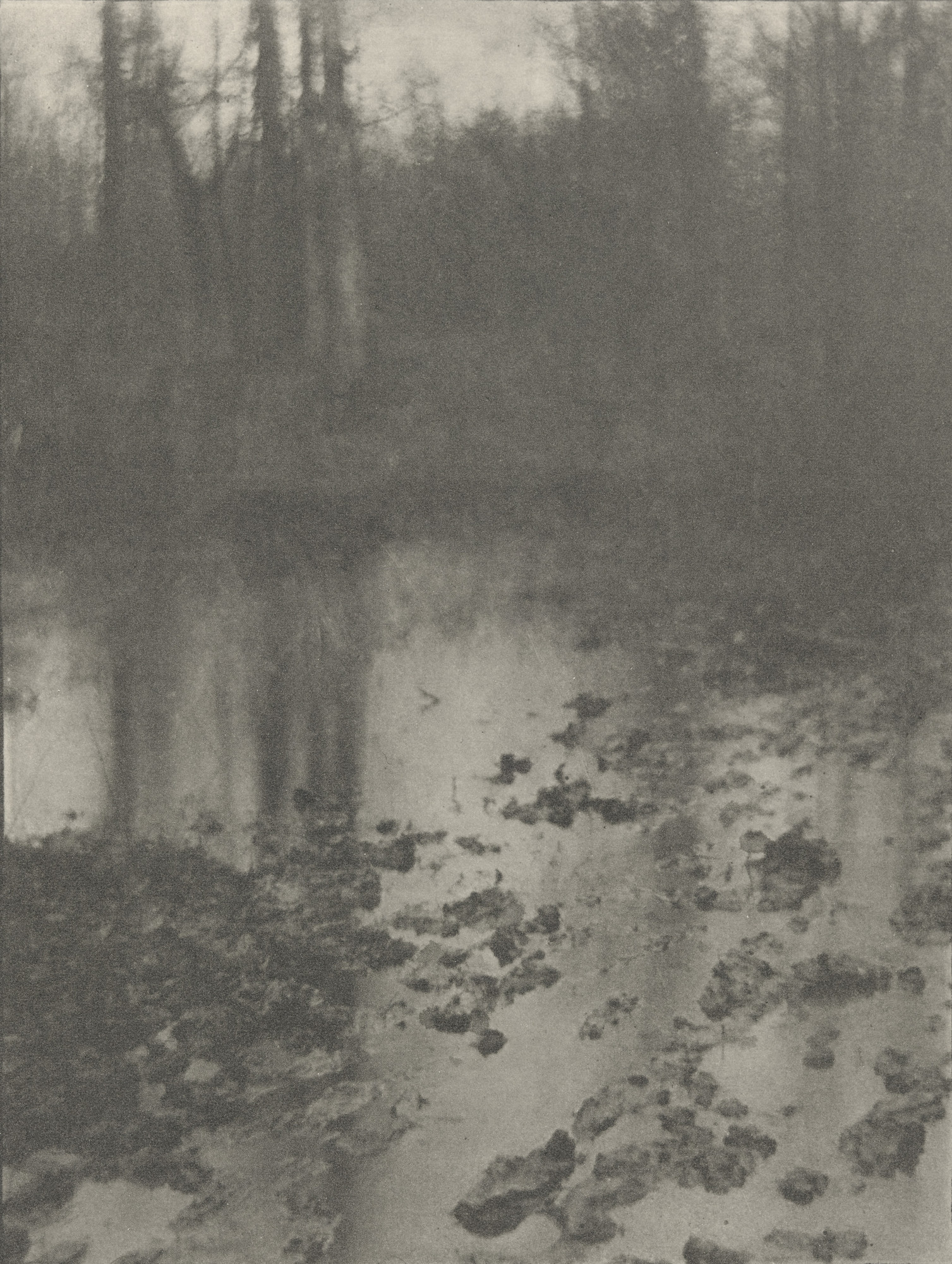 Edward Steichen. Landscape- Evening