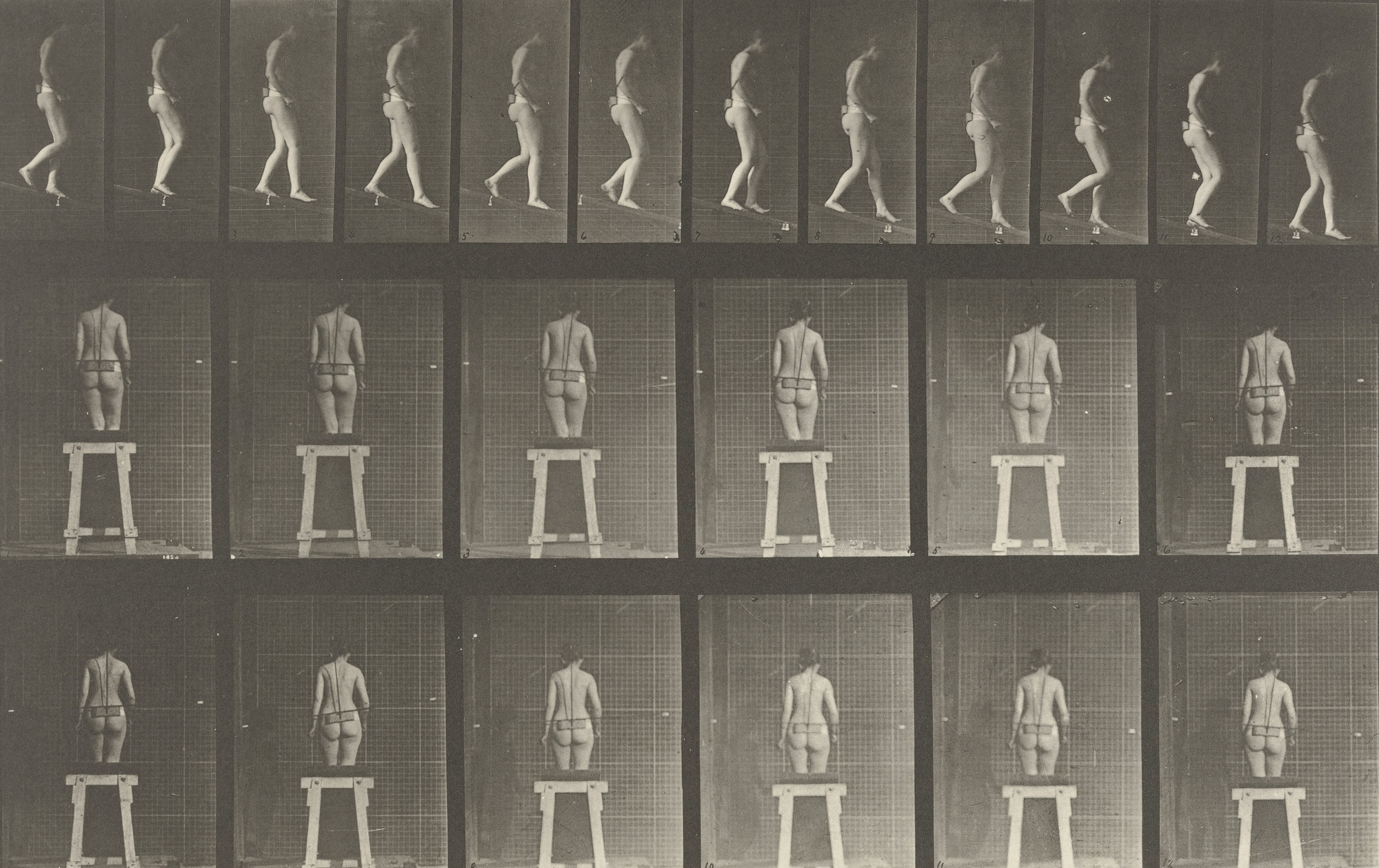 Eadweard J. Muybridge. Woman Descending an Incline: Plate 118 from Animal Locomotion (1887). 1884-86 | MoMA Eadweard J. Muybridge. Woman Descending an Incline: Plate 118 from Animal Locomotion (1887). 1884-86 | MoMA