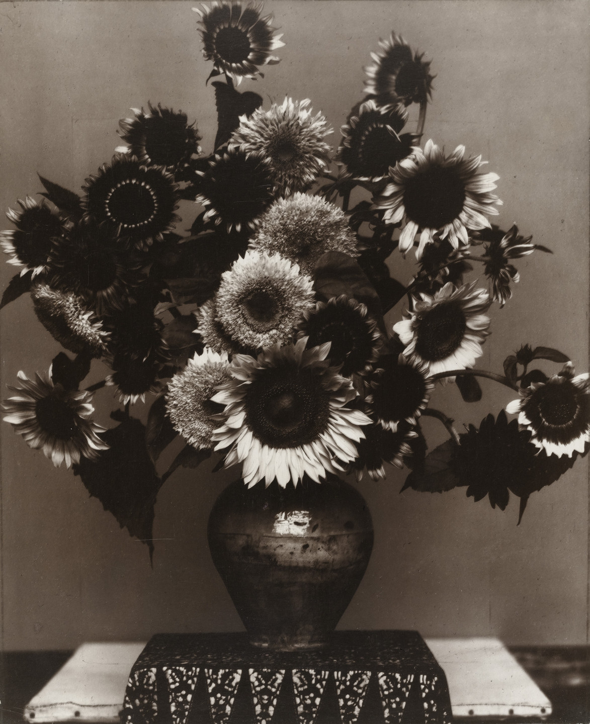Edward Steichen. Sunflowers from Seed to Seed. c. 1920 | MoMA