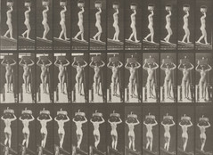 Eadweard J. Muybridge. Woman Descending an Incline with a 20-lb. Basket on Head, Hands Raised: Plate 124 from Animal Locomotion (1887). 1884-86