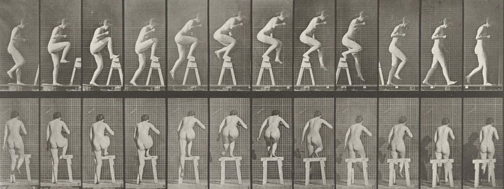 Woman Stepping on and over a Trestle: Plate 178 from Animal Locomotion (1887)